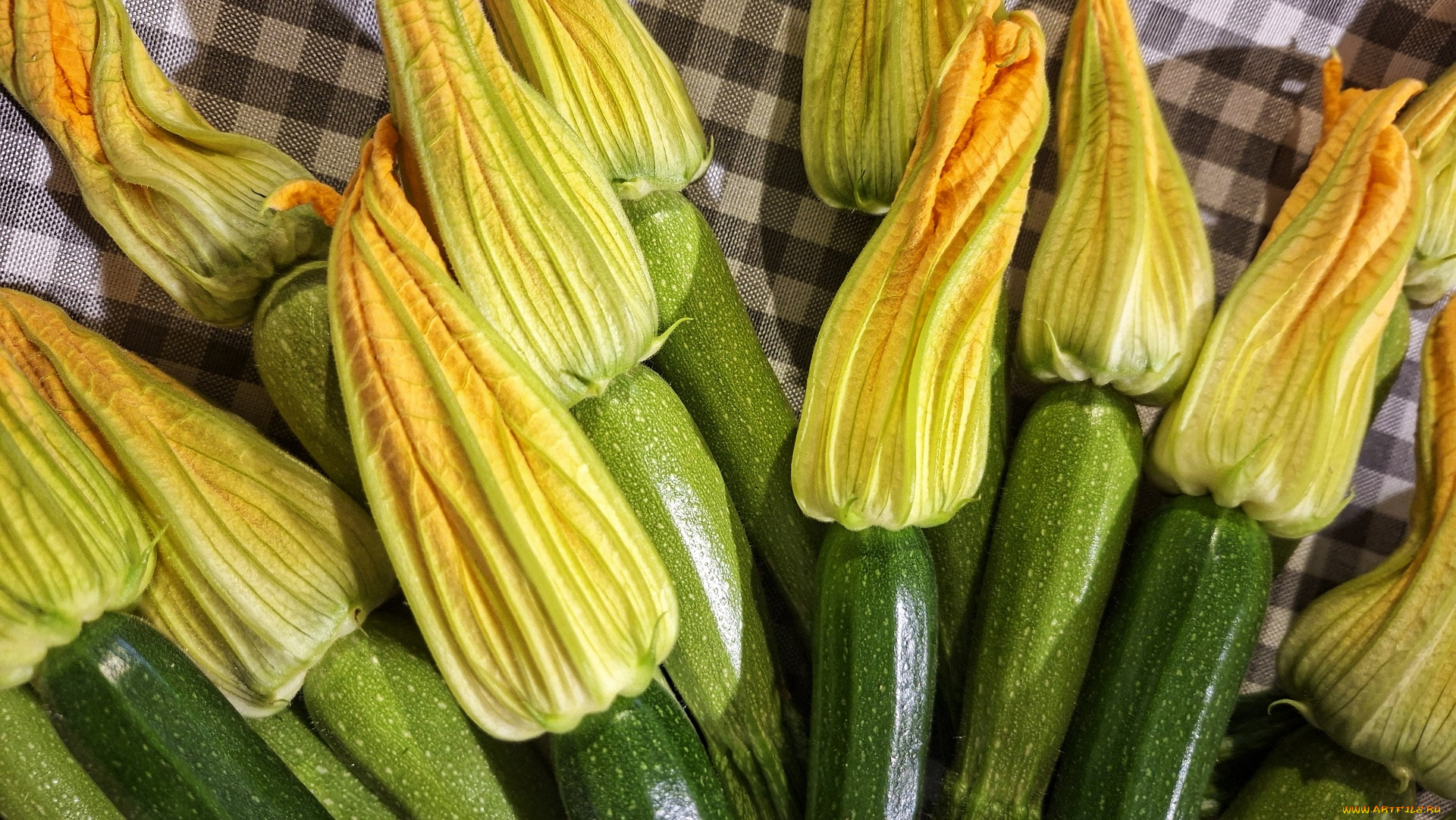 ���, �������,  �������,  ���������, ������